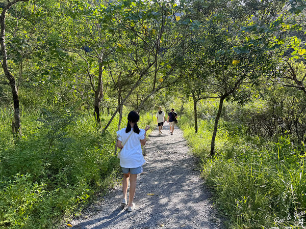 ▲▼宜蘭冬山新寮瀑布步道，漫步輕鬆好走森林步道，探訪雙層沁涼瀑布。（圖／紫色微笑提供）