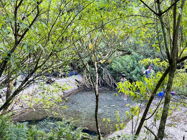 ▲▼宜蘭冬山新寮瀑布步道，漫步輕鬆好走森林步道，探訪雙層沁涼瀑布。（圖／紫色微笑提供）