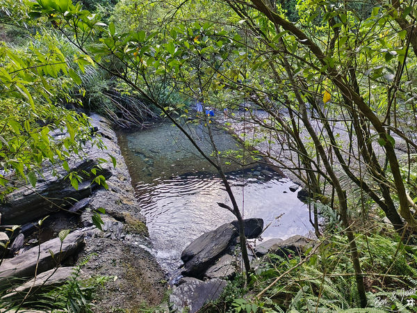 ▲▼宜蘭冬山新寮瀑布步道，漫步輕鬆好走森林步道，探訪雙層沁涼瀑布。（圖／紫色微笑提供）