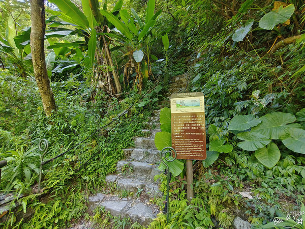 ▲▼宜蘭冬山新寮瀑布步道，漫步輕鬆好走森林步道，探訪雙層沁涼瀑布。（圖／紫色微笑提供）