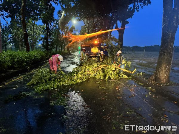 ▲凱米颱風強襲，台南市全區至26日下午2時為止，行道樹倒伏885株、道路破損24件、廣告物99件及圍籬倒塌69件等災情，經工務局全力處理已復原近9成。（圖／記者林東良翻攝，下同）