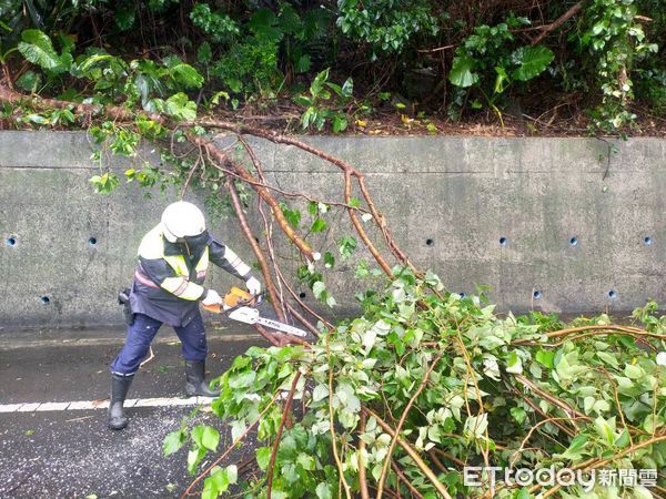 ▲警方移除倒塌路樹。（圖／記者楊漢聲翻攝）