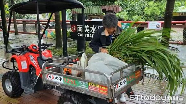 ▲凱米颱風帶來的充沛雨量，台南頑皮世界野生動物園也被大水包圍，保育員還是涉水步行或乘坐竹筏，進入園區照顧園內動物們。（圖／記者林東良翻攝，下同）