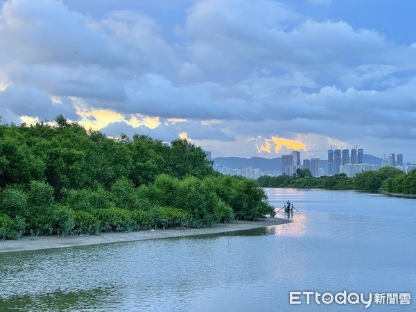 ▲香港古典名車收藏館推出遊車河體驗,香港旅遊。（圖／記者彭懷玉攝）