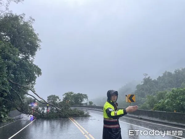 ▲樹倒、落石阻道警方協助恢復。（圖／記者楊漢聲翻攝）