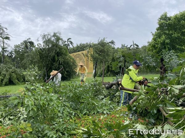 ▲台南山上水道博物館占地總面積36公頃的園區，此次受災嚴重，共有超過70棵樹倒伏，將近40棵樹木半倒，自開館以來受創最嚴重的一次。（圖／記者林東良翻攝，下同）