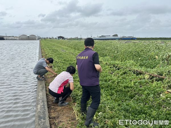 ▲▼凱米重創全台，彰化稅務局表示，包括房屋、牌照、地價、娛樂等都可減稅。（圖／彰化稅務局提供，下同）