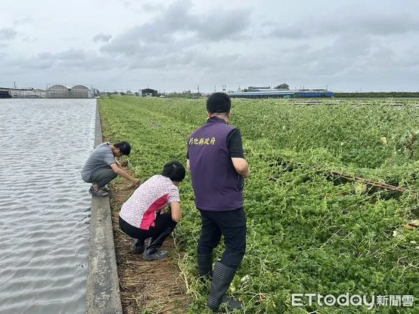 ▲▼凱米重創全台，彰化稅務局表示，包括房屋、牌照、地價、娛樂等都可減稅。（圖／彰化稅務局提供，下同）