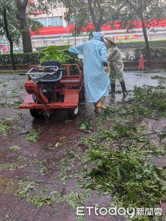 ▲為因應凱米颱風帶來強風及豪大雨，造成台南市新營及永華體育園區多處積水及樹木傾倒，體育局緊急動員人員及廠商處理積水及樹木傾倒等災損狀況，28日已初步恢復兩大園區環境。（圖／記者林東良翻攝，下同）