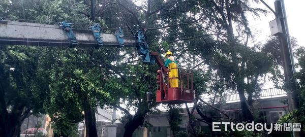 ▲為因應凱米颱風帶來強風及豪大雨，造成台南市新營及永華體育園區多處積水及樹木傾倒，體育局緊急動員人員及廠商處理積水及樹木傾倒等災損狀況，28日已初步恢復兩大園區環境。（圖／記者林東良翻攝，下同）