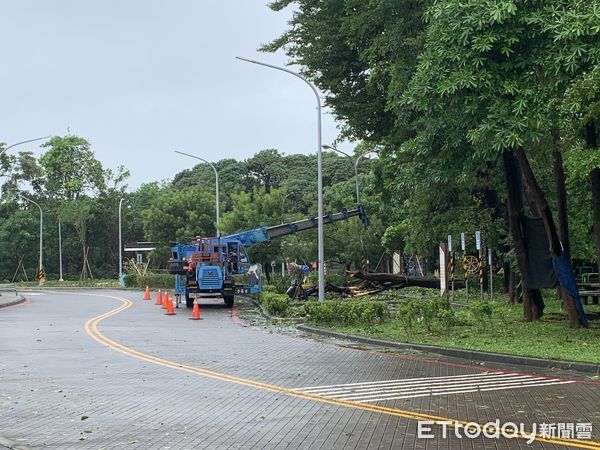 ▲為因應凱米颱風帶來強風及豪大雨，造成台南市新營及永華體育園區多處積水及樹木傾倒，體育局緊急動員人員及廠商處理積水及樹木傾倒等災損狀況，28日已初步恢復兩大園區環境。（圖／記者林東良翻攝，下同）