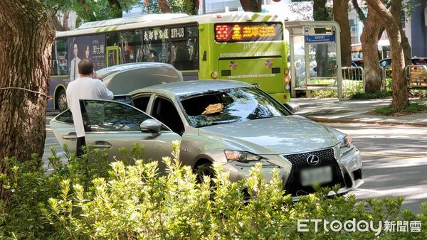 ▲▼台北市松山區敦化北路行道樹樹幹斷裂，砸進小客車內。（圖／記者黃彥傑攝）