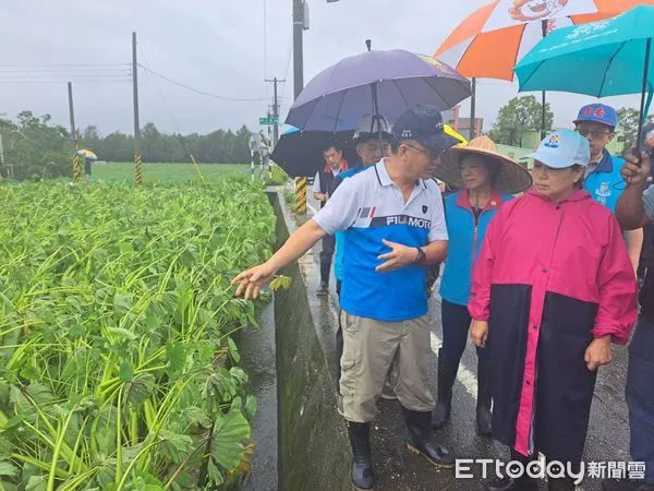 ▲▼花蓮北區農作受災尤為嚴重，經現地勘察5鄉市可申請現金救助。（圖／花蓮縣政府提供，下同）