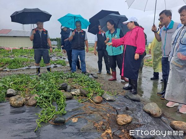 ▲▼花蓮北區農作受災尤為嚴重，經現地勘察5鄉市可申請現金救助。（圖／花蓮縣政府提供，下同）