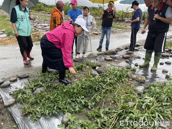 ▲▼花蓮北區農作受災尤為嚴重，經現地勘察5鄉市可申請現金救助。（圖／花蓮縣政府提供，下同）