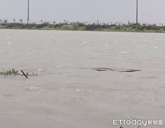 ▲凱米颱風造成台南多處積淹水，為減輕受災戶負擔，協助重整家園，淹水50公分以上台南加碼到1.5萬元補助，泡水汽機車也有補助。（圖／記者林東良翻攝，下同）