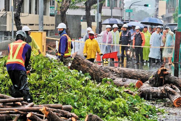 凱米颱風造成1萬5千多件災情，其中以路樹災情最多。（翻攝陳其邁臉書）