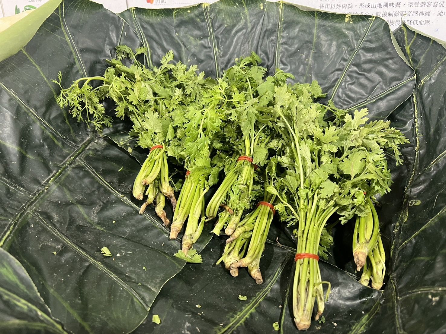 ▲研究指出，香菜能抗發炎。（圖／記者楊惠琪攝）