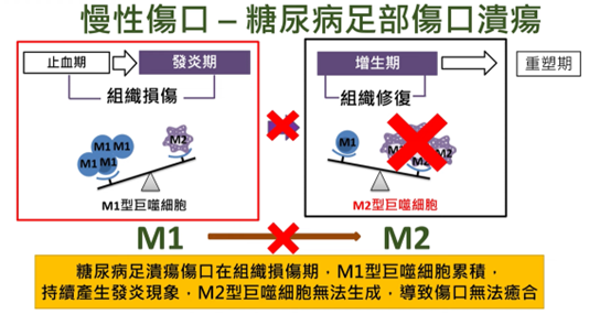 圖片來源／竹山秀傳醫院一般外科主任蘇啟成醫師