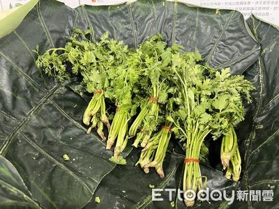 「香菜」是高CP值天然抗炎幫手！　陸專家：還能降低肥胖風險