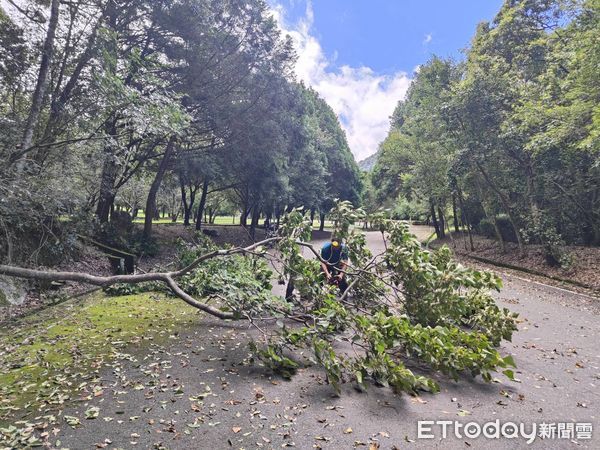 ▲凱米颱風造成山區道路受創，奧萬大森林遊樂區、能高越嶺道西段及天池山莊持續封閉至8月9日。（圖／林業保育署南投分署提供）