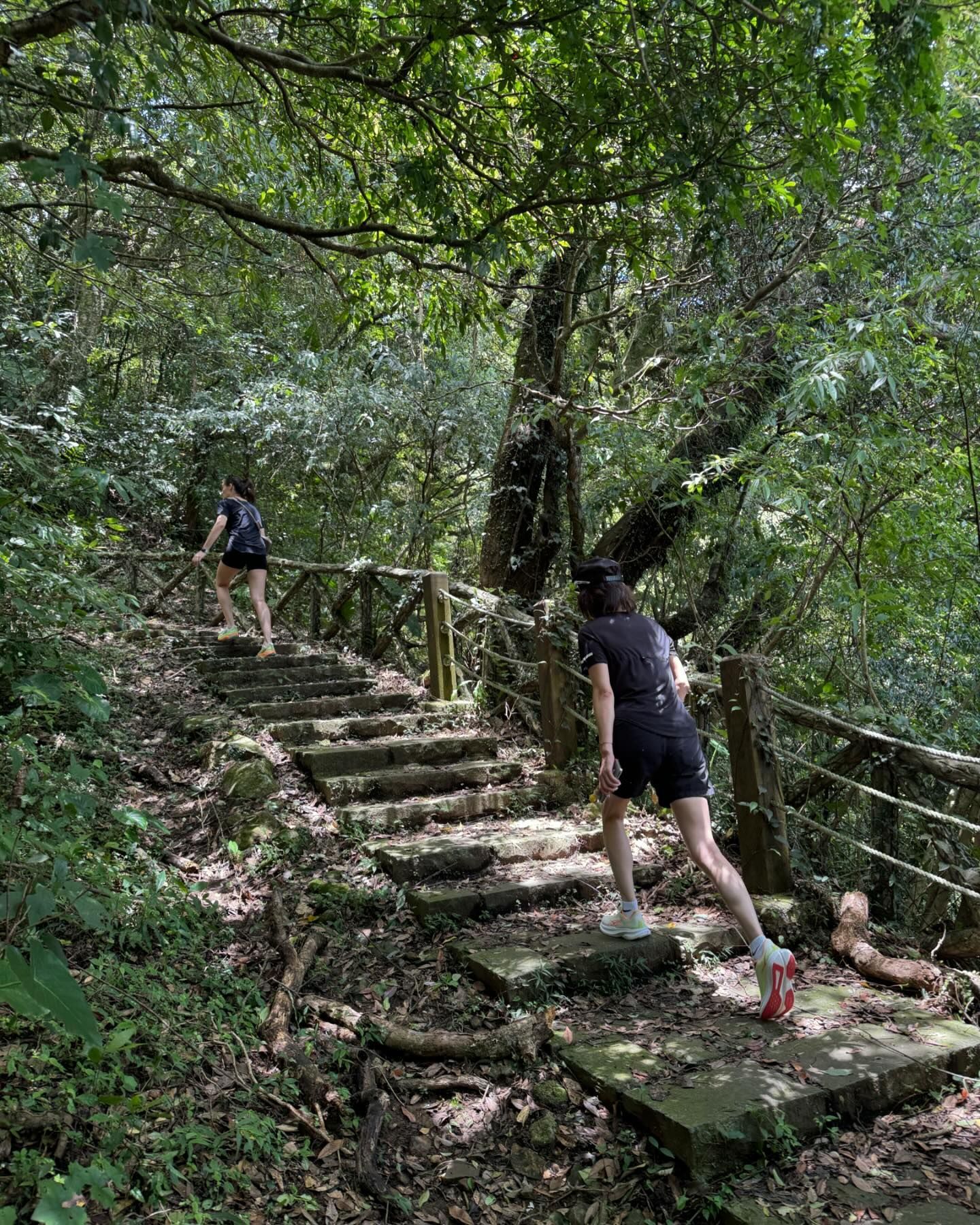 ▲▼劉嘉玲爬山1照片洩行蹤！　網揪亮點：在台灣。（圖／翻攝自Instagram／carinalau1208）