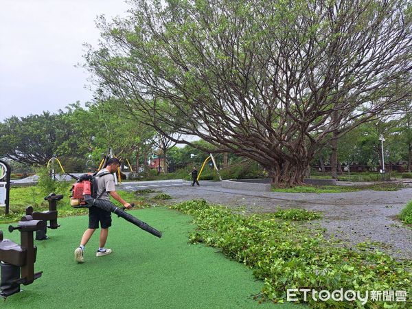 ▲▼受強颱凱米侵襲，花蓮知卡宣綠森林親水公園園區樹木多處倒塌，受到嚴重影響。（圖／花蓮縣政府提供，下同）