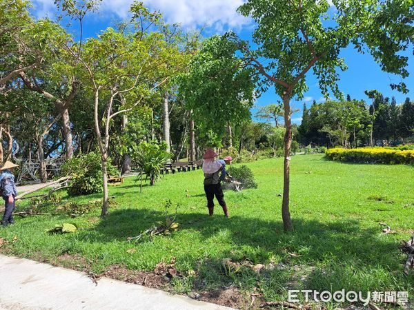 ▲▼受強颱凱米侵襲，花蓮知卡宣綠森林親水公園園區樹木多處倒塌，受到嚴重影響。（圖／花蓮縣政府提供，下同）