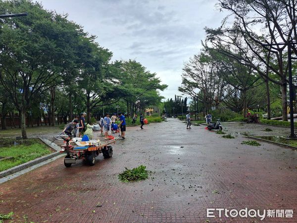 ▲▼受強颱凱米侵襲，花蓮知卡宣綠森林親水公園園區樹木多處倒塌，受到嚴重影響。（圖／花蓮縣政府提供，下同）