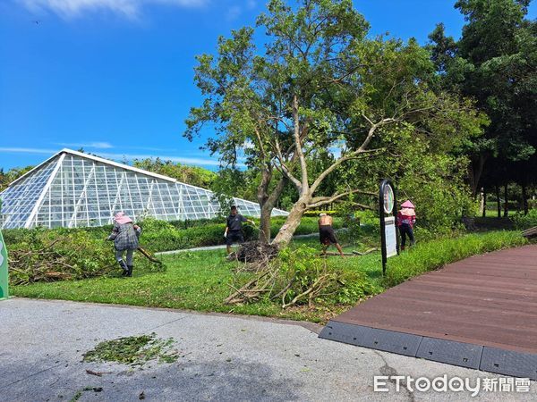 ▲▼受強颱凱米侵襲，花蓮知卡宣綠森林親水公園園區樹木多處倒塌，受到嚴重影響。（圖／花蓮縣政府提供，下同）