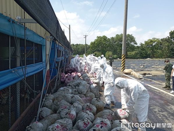 ▲凱米颱風侵襲台灣造成台南市畜牧業遭受重創，市長黃偉哲感謝國軍支援，戶非常關心災損情形，呼籲受災畜牧戶如遇到任何困難，可立刻與所在地區公所聯繫，將提供必要的支援和幫助。（圖／記者林東良翻攝，下同）