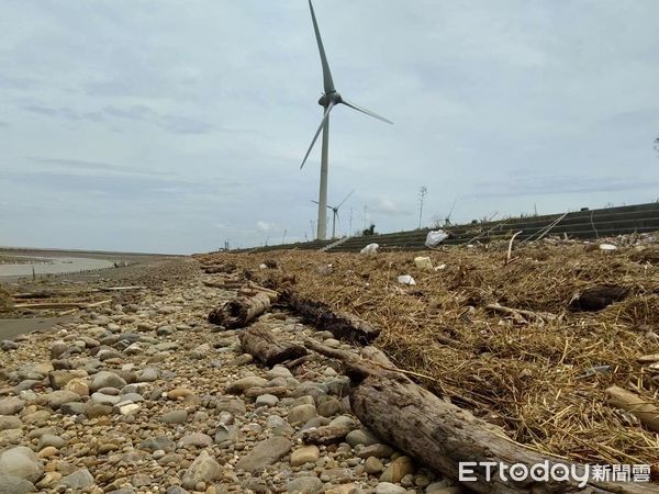 ▲林業保育署提醒於南投、雲林、彰化縣內暫緩撿拾漂流木。（圖／林業保育署南投分署提供）