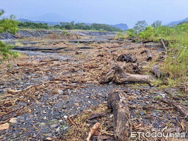 ▲▼南投縣名竹橋上游、彰化縣王功漁港漂流木堆置情形。（圖／林業保育署南投分署提供）