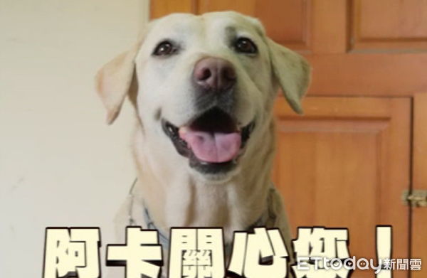 ▲▼高雄市消防局請出搜救犬Aka–阿卡，拍攝一支宣導短片，來提醒大家「3個火場應變的NG行為」！（圖／記者吳世龍翻攝）