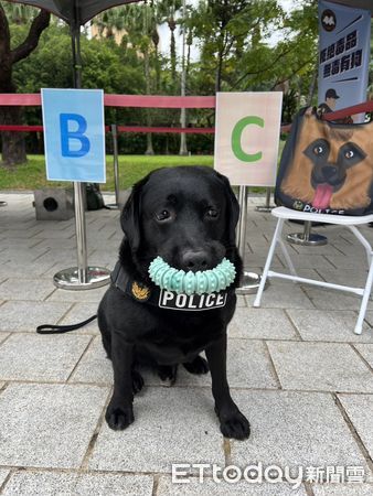 ▲▼曾破板橋分屍案警犬福星，將由領犬員領養，警犬亮亮、飛達、首領、XINA、YUTU將開放領養             。（圖／記者陳以昇翻攝）