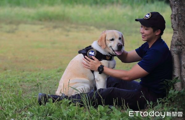 ▲▼曾破板橋分屍案警犬福星，將由領犬員領養，警犬亮亮、飛達、首領、XINA、YUTU將開放領養             。（圖／記者陳以昇翻攝）