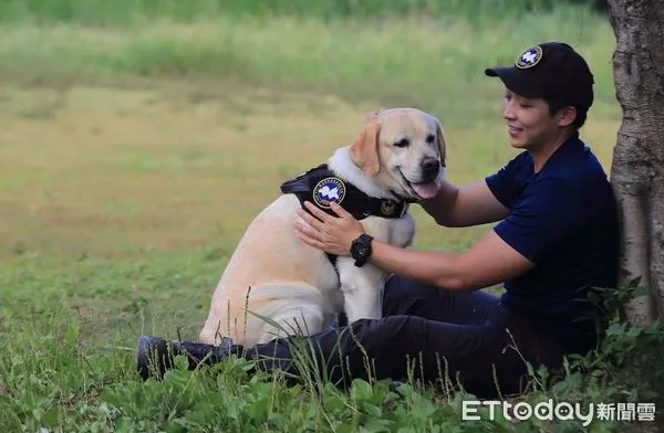 ▲▼曾破板橋分屍案警犬福星，將由領犬員領養，警犬亮亮、飛達、首領、XINA、YUTU將開放領養             。（圖／記者陳以昇翻攝）