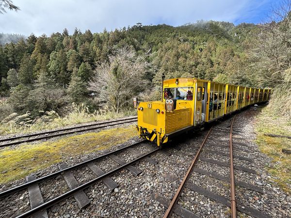 ▲▼太平山蹦蹦車。（圖／林業及自然保育署宜蘭分署提供）