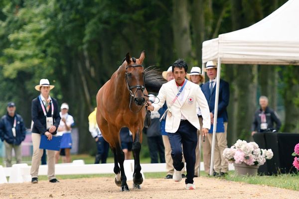 日本馬術選手大岩義明與馬兒自拍。（圖／翻攝自X@yoshiakioiwa）