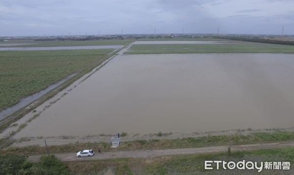 ▲雲林褒忠鄉有才寮「在地滯洪區」大量雨水被蓄留在水門後方農田內景象。（圖／記者蔡佩旻翻攝）