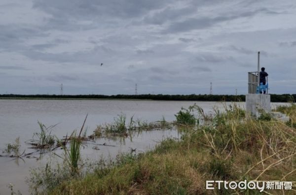 ▲雲林褒忠鄉有才寮「在地滯洪區」大量雨水被蓄留在水門後方農田內景象。（圖／記者蔡佩旻翻攝）