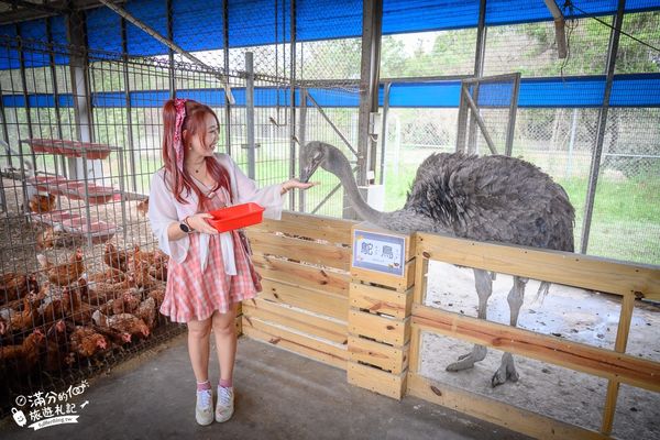 ▲▼彰化正實親子農場，飼料免費供應。（圖／部落客滿分提供）