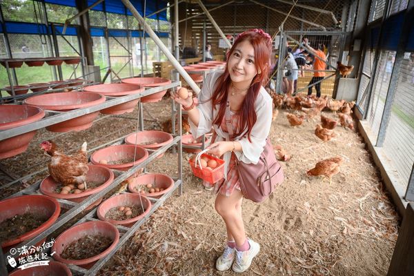 ▲▼彰化正實親子農場，飼料免費供應。（圖／部落客滿分提供）