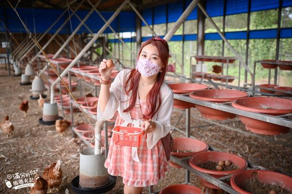 ▲▼彰化正實親子農場，飼料免費供應。（圖／部落客滿分提供）