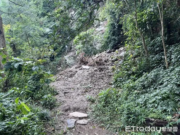 ▲尾寮山步道             。（圖／林業及自然保育署屏東分署提供）