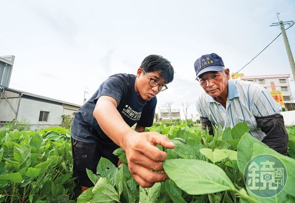 青農博士馬聿安（右）與老農民共同打造有機農法，讓土地獲得友善對待，也埋下發展自然碳匯契機。