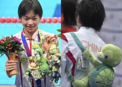 全紅嬋公開解釋為何鍾愛「烏龜」　她靦腆透露床上可愛擺設