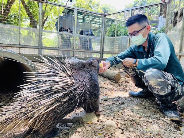 ▲▼動物園15位奶爸父親節快樂　大象阿里「大便抗議→接受」多虧他。（圖／翻攝自壽山動物園）