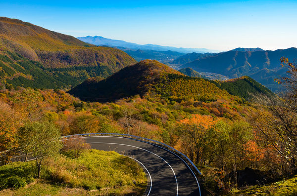 ▲▼日光伊呂波山道。（圖／日光市提供）