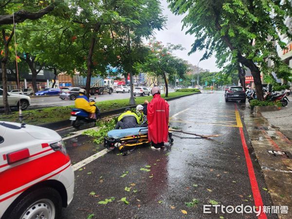 ▲高雄市中華一路的路樹斷落，砸中2名機車騎士             。（圖／記者吳奕靖翻攝）